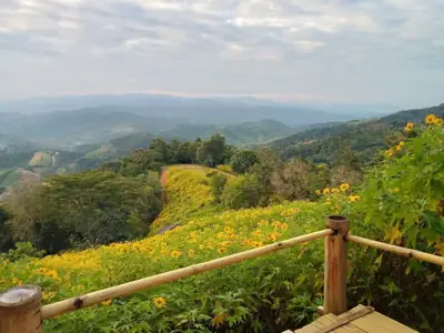 วนอุทยานดอยหัวแม่คำ รูปที่ 5
