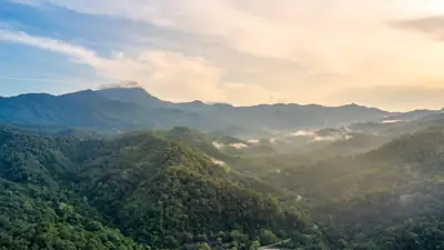 ลานกางเต็นท์ภูซาง รูปที่ 1
