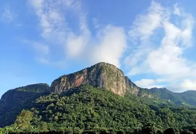 ลานกางเต็นท์ภูซาง รูปที่ 6