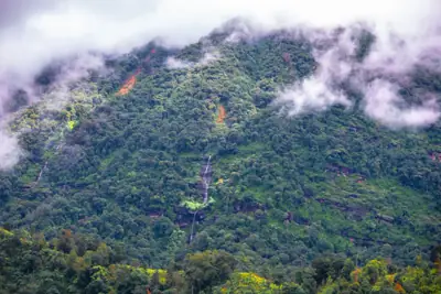 ลานกางเต็นท์ลานสนภูสอยดาว รูปที่ 10