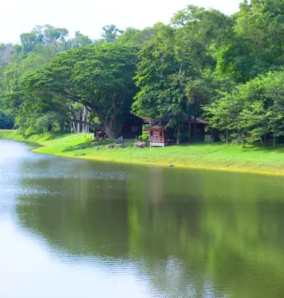 ลานกางเต็นท์อ่างเก็บน้ำเขารวก รูปที่ 4