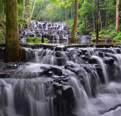 ลานกางเต็นท์อ่างเก็บน้ำเขารวก รูปที่ 5