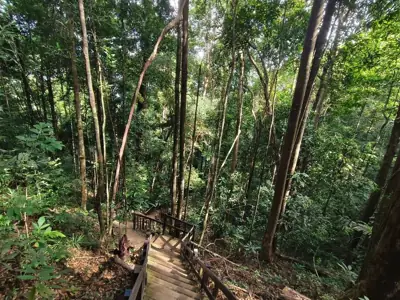 ลานกางเต็นท์อุทยานแห่งชาติหาดนพรัตน์ธารา-หมู่เกาะพีพี (หาดนพรัตน์ธารา) รูปที่ 6