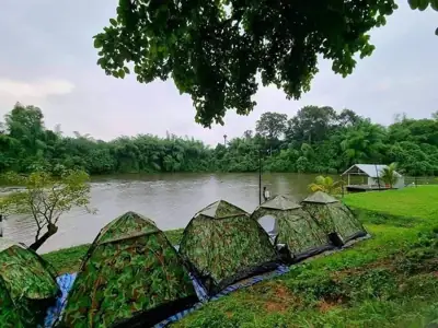 P'ma coffee & camping รูปที่ 2