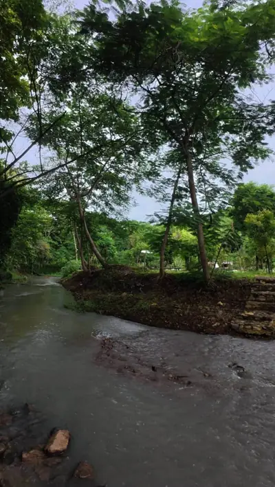 มิสมีแคมป์ - missme camp khonyok รูปที่ 3