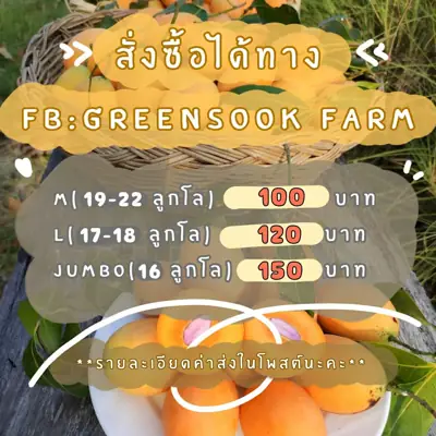GreenSook Farm รูปที่ 1