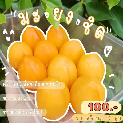 GreenSook Farm รูปที่ 2