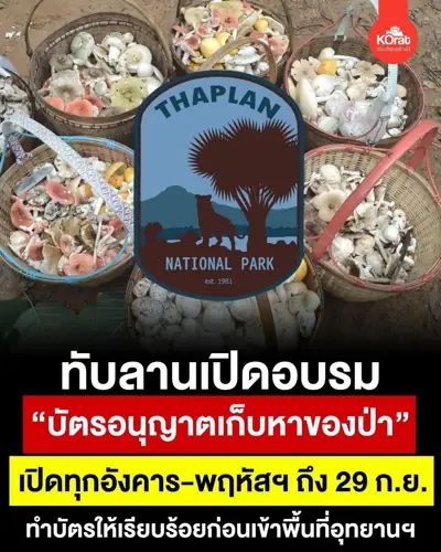 ลานกางเต็นท์หาดชมตะวัน อุทยานแห่งชาติทับลาน รูปที่ 1