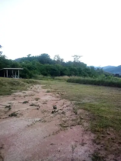 บางกะม่า เมาเท่นวิว รูปที่ 4