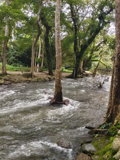 บ้านต้นไทร คลองมะเดื่อ รูปที่ 4
