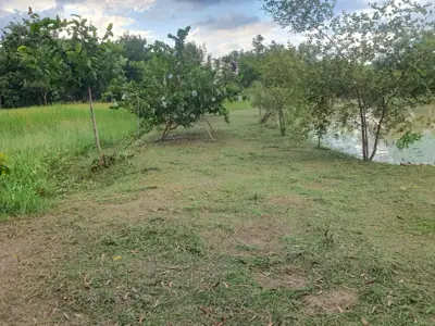 ไร่ขุมดินงาม Private Camping รูปที่ 3