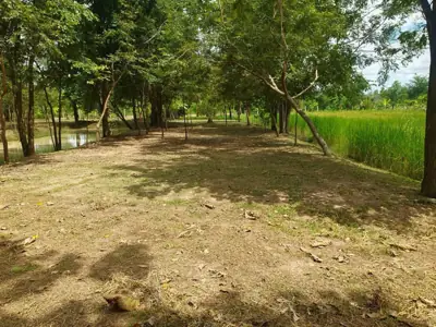 ไร่ขุมดินงาม Private Camping รูปที่ 5