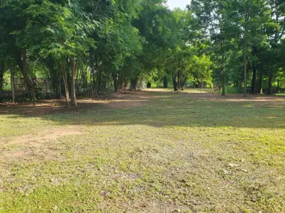 ไร่ขุมดินงาม Private Camping รูปที่ 6