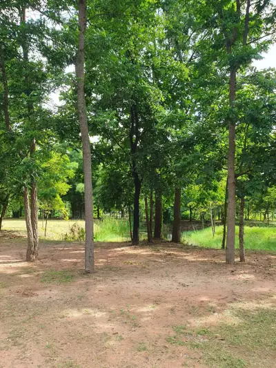 ไร่ขุมดินงาม Private Camping รูปที่ 7