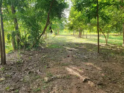 ไร่ขุมดินงาม Private Camping รูปที่ 9
