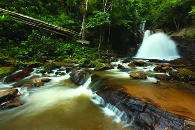 ลานกางเต็นท์บ่อน้ำร้อนฝาง รูปที่ 1