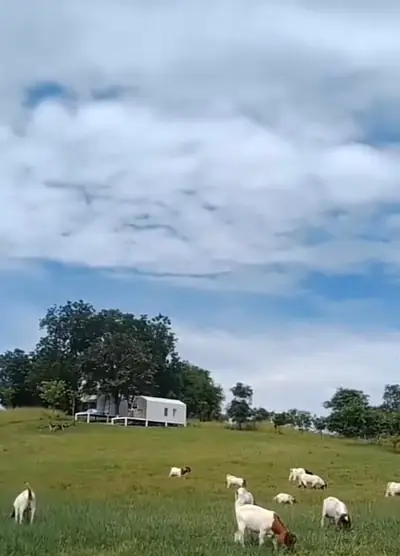 La Colline Campground รูปที่ 6
