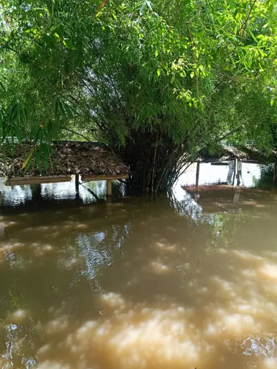 Idyllic Camping Kanchanaburi (ลุ่มปู่กลอย ริเวอร์แคมป์) รูปที่ 1