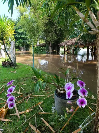 Idyllic Camping Kanchanaburi (ลุ่มปู่กลอย ริเวอร์แคมป์) รูปที่ 4