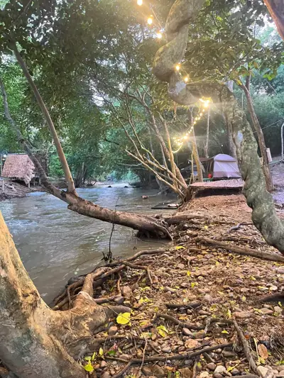 ไร่ณ.ดวงใจ สวนผึ้ง รูปที่ 8