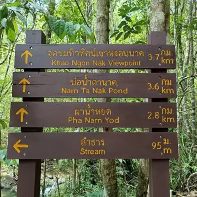 จุดลานกางเต็นท์อุทยานแห่งชาติหาดนพรัตน์ธารา-หมู่เกาะพีพี รูปที่ 7