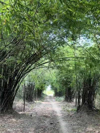 Grass Valley (กราส วัลเลย์) รูปที่ 9
