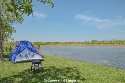 บึงบัวแดง นครนายก - km. 65 Bung baw daeng รูปที่ 2