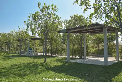 บึงบัวแดง นครนายก - km. 65 Bung baw daeng รูปที่ 3
