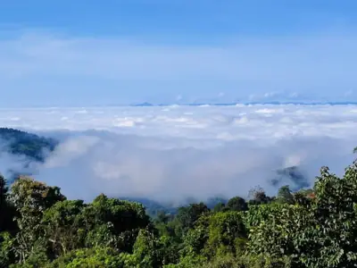 ลานกางเต็นท์ภูลังกา-พะเยา รูปที่ 4