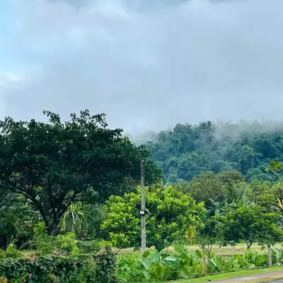 บ้านสวนสายสมร รูปที่ 2