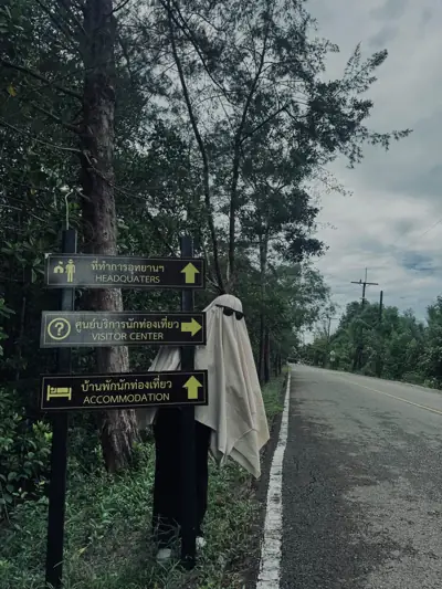 ลานกางเต็นท์เกาะช้าง-ระนอง อุทยานแห่งชาติหมู่เกาะระนอง รูปที่ 4