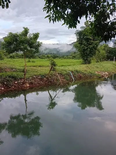 สวนภูเขาล้อมแคมป์ปิ้ง / Suan PhuKaoLorm Camping รูปที่ 3