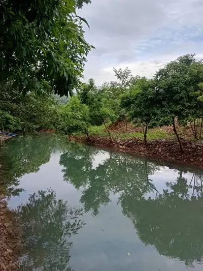 สวนภูเขาล้อมแคมป์ปิ้ง / Suan PhuKaoLorm Camping รูปที่ 4