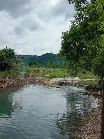 สวนภูเขาล้อมแคมป์ปิ้ง / Suan PhuKaoLorm Camping รูปที่ 5