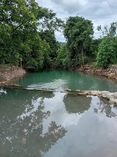 สวนภูเขาล้อมแคมป์ปิ้ง / Suan PhuKaoLorm Camping รูปที่ 6