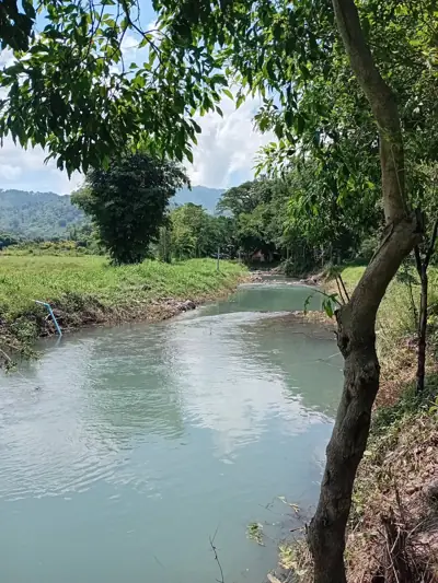 สวนภูเขาล้อมแคมป์ปิ้ง / Suan PhuKaoLorm Camping รูปที่ 8