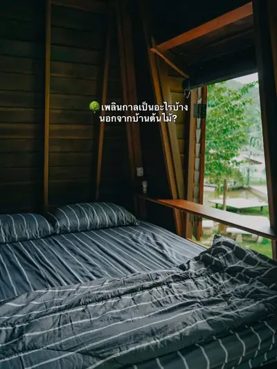 เพลินกาล แคมป์ปิ้ง บาย เดอะ ริเวอร์ รูปที่ 1