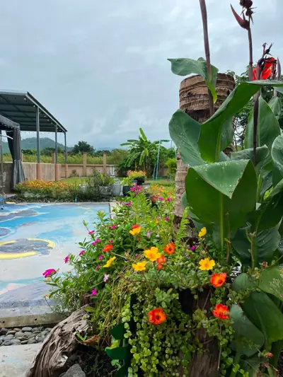 Nature View Campground & Resort รูปที่ 10