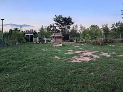 90's camping 2024 รูปที่ 1