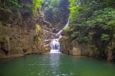 หน่วยพิทักษ์อุทยานแห่งชาติน้ำตกพลิ้วที่ 2 รูปที่ 8