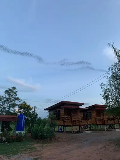 บ้านสวนผาม่านสุดที่รัก รูปที่ 6
