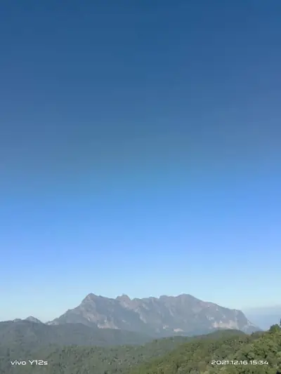 ไร่ลุงเจริญ สันป่าเกี๊ยะ รูปที่ 2