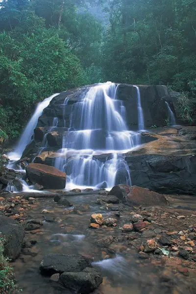 ลานกางเต็นท์ม่อนครูบาใส รูปที่ 2
