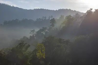 ลานกางเต็นท์น้ำตกเต่าดำ รูปที่ 7