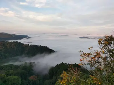 ลานกางเต็นท์คลองยัน หน่วยพิทักษ์ฯ กก.7 อุทยานแห่งชาติแก่งกรุง รูปที่ 1