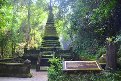 ลานกางเต็นท์อ่างเก็บน้ำห้วยตาโบ (หน่วยพิทักษ์อุทยานแห่งชาติน้ำตกพลิ้วที่ 2) รูปที่ 4