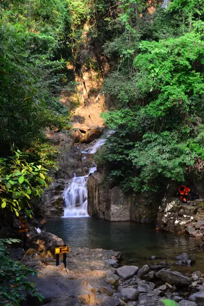 ลานกางเต็นท์อ่างเก็บน้ำห้วยตาโบ (หน่วยพิทักษ์อุทยานแห่งชาติน้ำตกพลิ้วที่ 2) รูปที่ 5