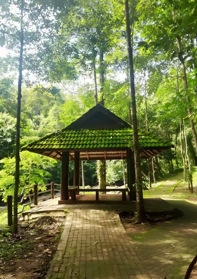 ลานกางเต็นท์คลองแก้ว รูปที่ 3