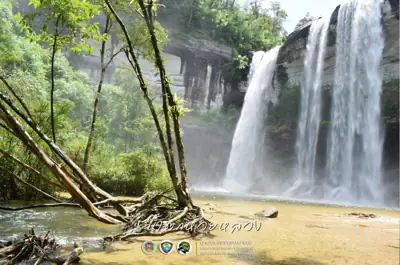 ลานกางเต็นท์พลาญกงเกวียน รูปที่ 5