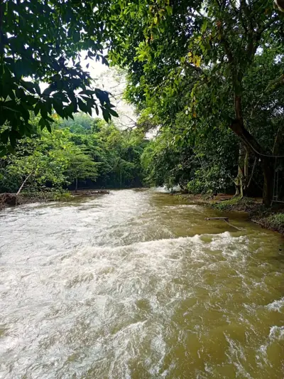 สวน ช.ชนาภา River รูปที่ 6